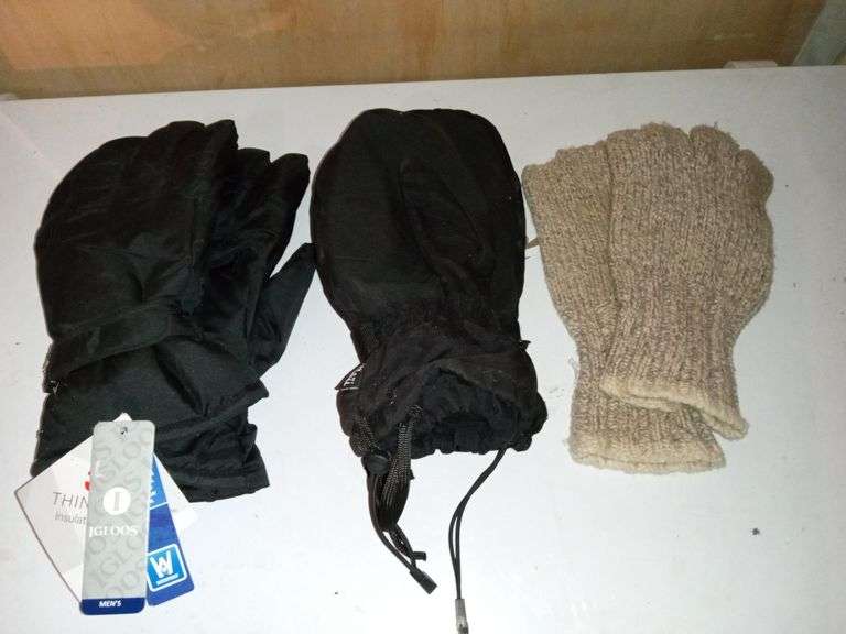 PAIR OF INSULATED GLOVES AND MITTENS AND WOOL GLOVES (SZLARGE
