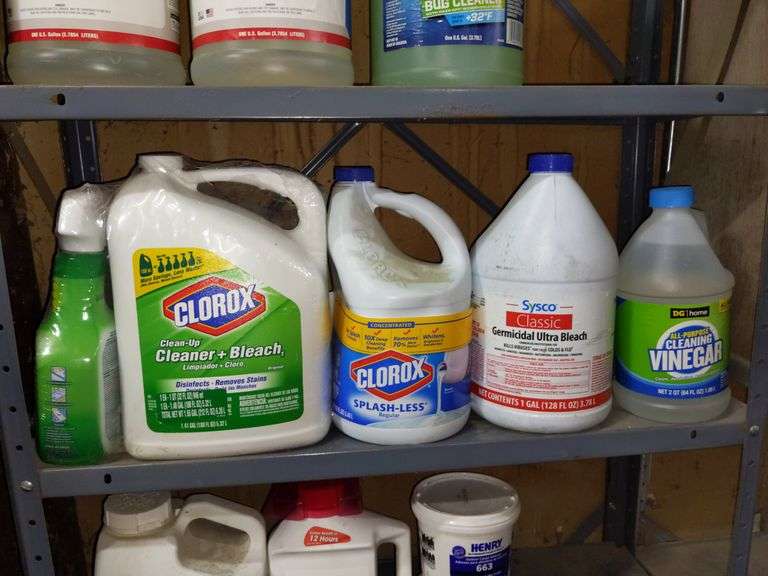 CLOROX CLEANUP, BLEACH, & VINEGAR Isabell Auction