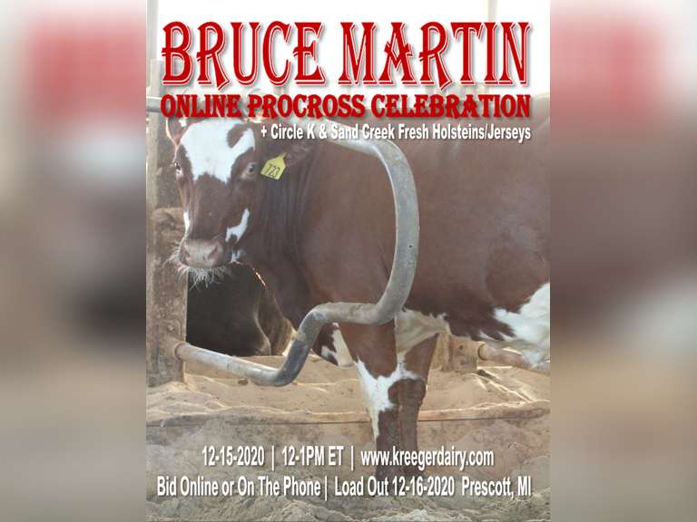 Bruce Martin ONLINE Procross Celebration + Circle K, Sand Creek, & Choate Fresh Holsteins & Jerseys
