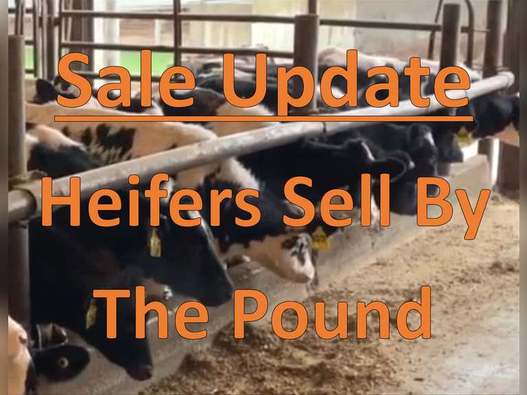 ..Sale Update.. All lots sell by the pound weighed on the truck. THE