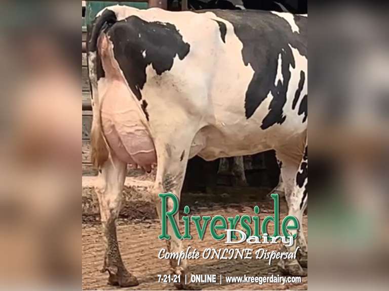 Riverside Dairy Complete Herd Dispersal Kreeger & Associates Riverside Dairy Complete Herd Dispersal Kreeger & Associates