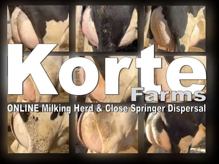 Past Auctions Kreeger & Associates