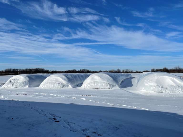115' x 12' Corn Silage Bag (Estimated Tonage 287 Tons) Sells by the