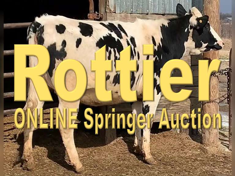 Past Auctions Kreeger & Associates