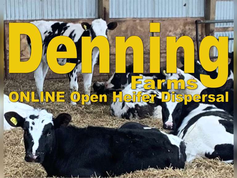 Past Auctions Kreeger & Associates