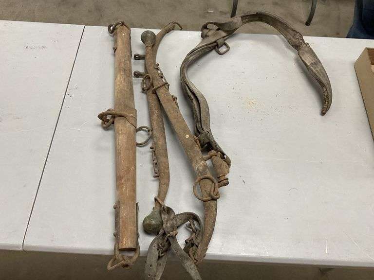 Single tree, etc Legacy Auction Company