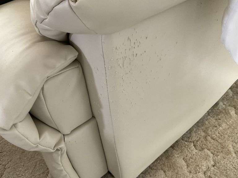 Leather lift chair. Some cat claw damage Legacy Auction Company