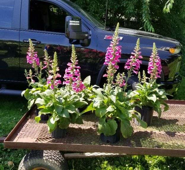 Building Material, Bainbridge, NY July 5th Lambrecht Auction, Inc.