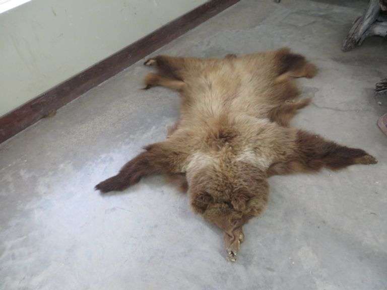 Brown Bear Hide Lambrecht Auction, Inc.