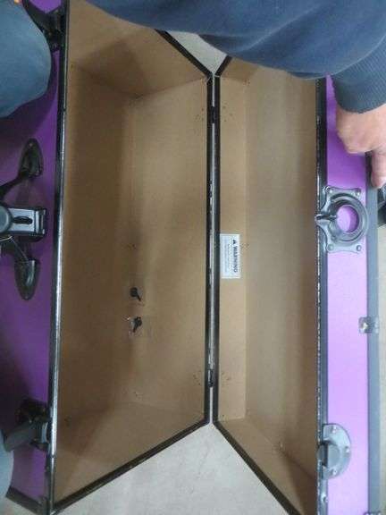 foot locker court purple