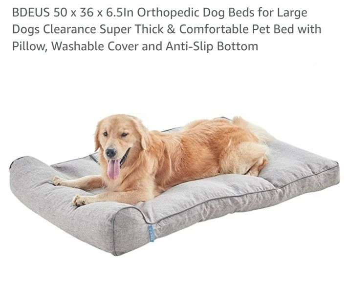 BDEUS 50 x 36 x 6.5In Orthopedic Dog Beds for Large Dogs Lexington