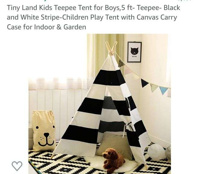 Tiny Land Kids Teepee Tent for Boys,5 ft-