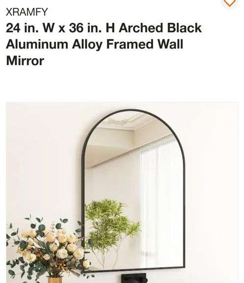XRAMFY 24 in. W x 36 in. H Arched Black Aluminum Alloy Framed Wall ...