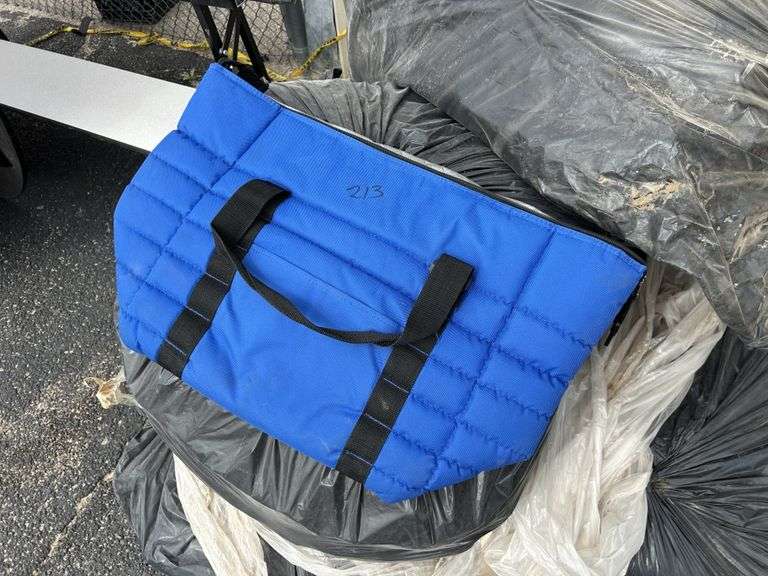 School Surplus- Aprx(100+) Cooler Bags