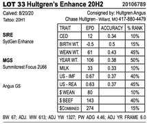 Hultgren's Enhance 20H2