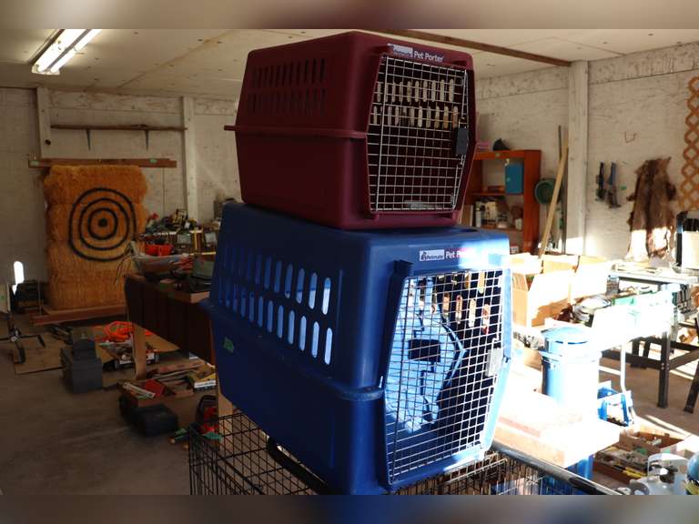 2 plastic dog kennels Adam Marshall Land & Auction, LLC