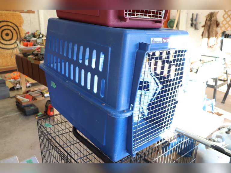 2 plastic dog kennels Adam Marshall Land & Auction, LLC