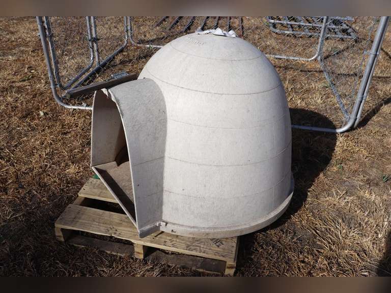 dog igloo house