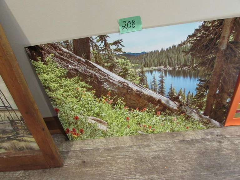 Pictures and Picture Hanger (you remove from wall) Adam Marshall Land