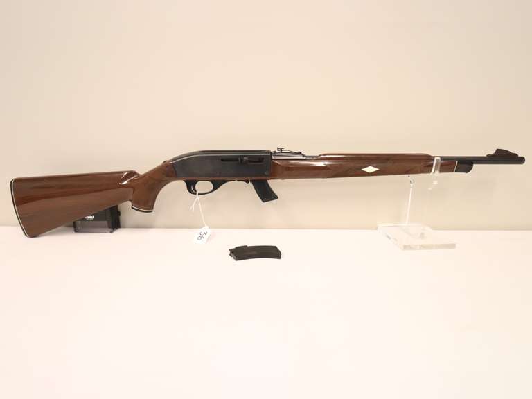 Remington 22 Rifle Semi Auto