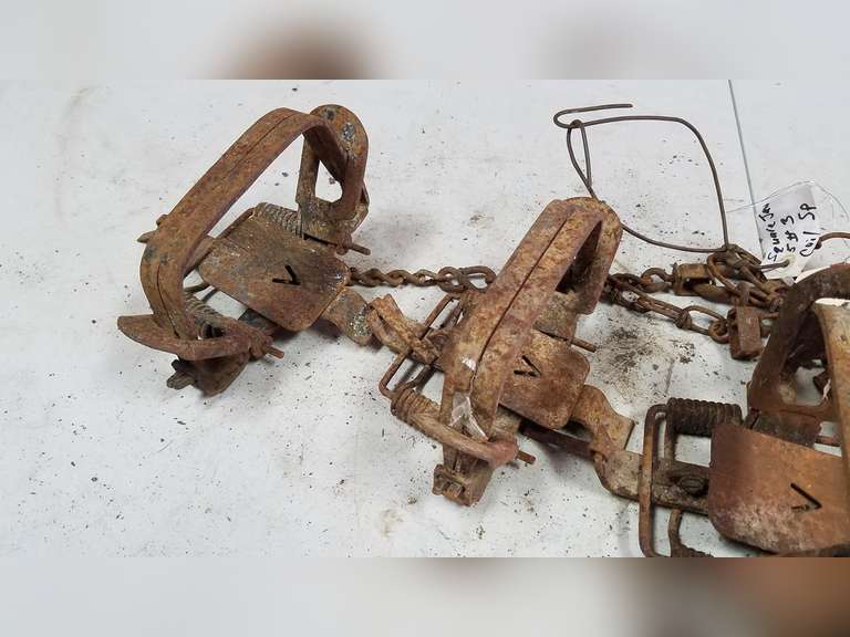 (5) Victor 3 Square Jaw Coil Spring Traps Adam Marshall Land