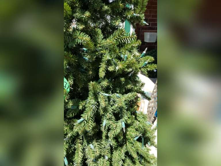 7ft prelit Christmas Tree Adam Marshall Land & Auction, LLC