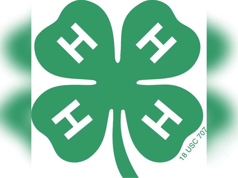 2021 Buffalo County 4-H Auction - Online Bidding Portion