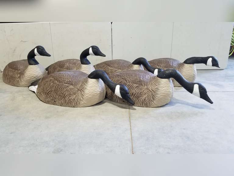 (6) Goose Decoys G & H Super Mag Shells (Assorted Heads) Adam