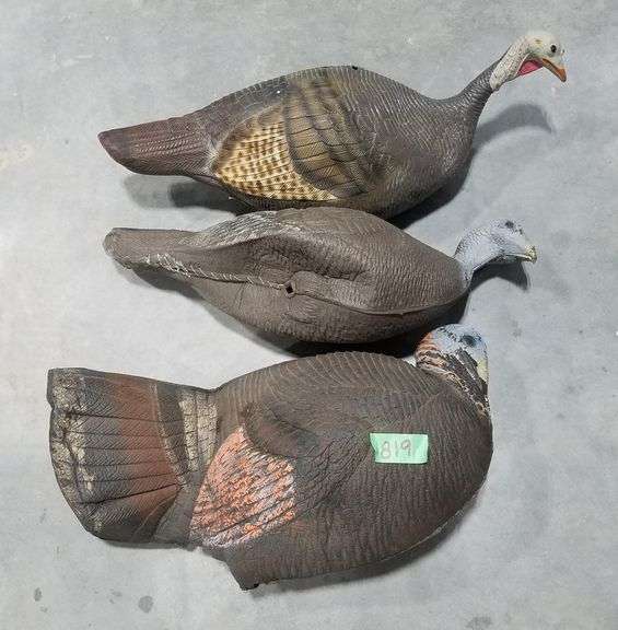(5) Foam Turkey Decoys & (1) Inflatable Turkey Decoy Adam Marshall