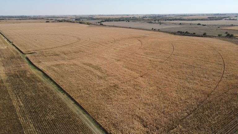 Clay County Online No Reserve Land Auction