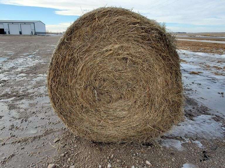 (8) Round Bales of Prairie Hay/Brome Grass Adam Marshall Land & Auction, LLC