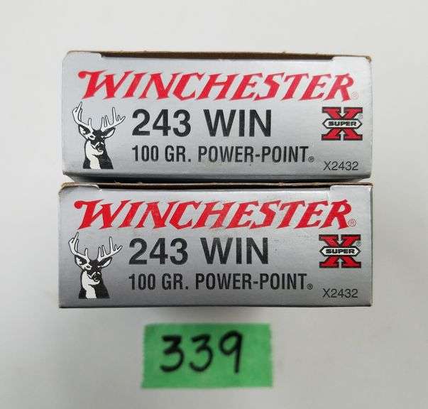 Winchester SuperX 243 Win 100 Gr PowerPoint (2 X 20) Adam