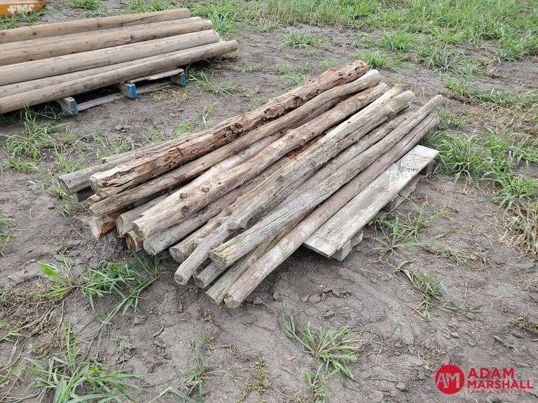(22) 7FT Hedge Posts Adam Marshall Land & Auction, LLC