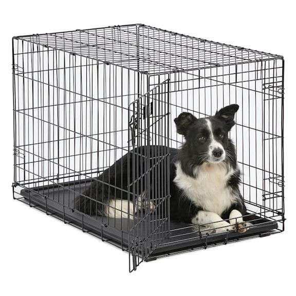 36" Dog Training Crate Matthews Auctioneers