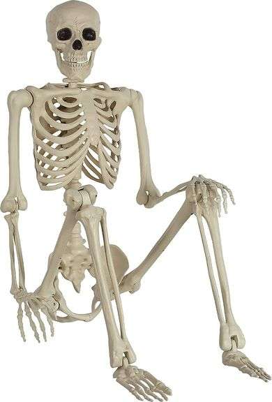 Life Size Skelton Decoration Matthews Auctioneers life-size-skelton-decoration-matthews-auctioneers