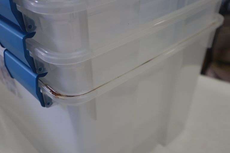 (4) Sterilite 54 qt storage totes Matthews Auctioneers