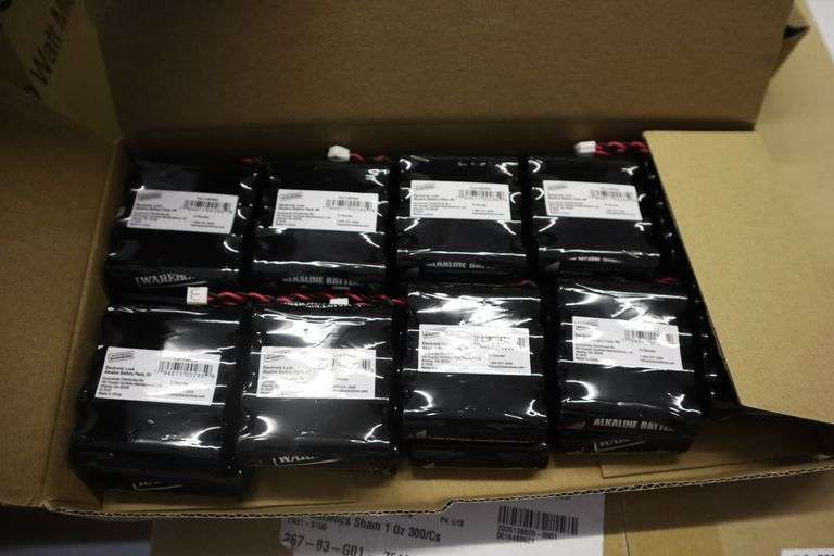 Case of electronic lock batteries Matthews Auctioneers