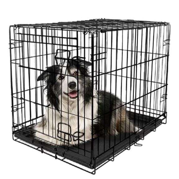 Vibrant Life Single door folding dog crate Matthews Auctioneers