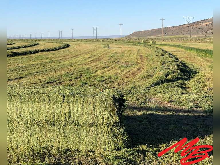 Dog Mountain Hay Ranch - 3,200± Acres