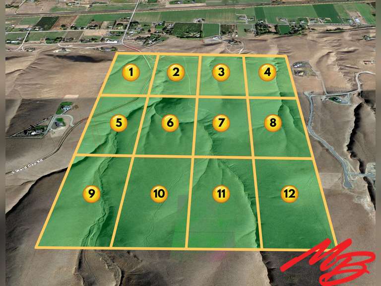 (12) 20± Acre Prosser View Lots