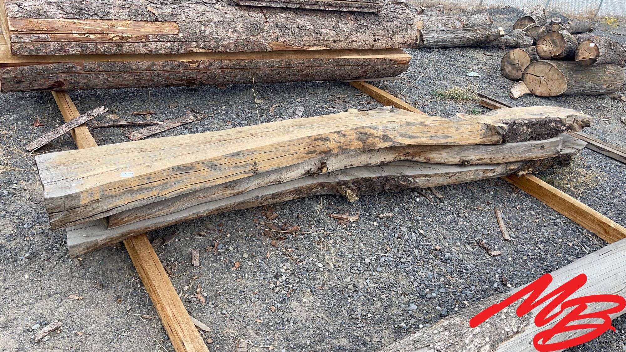 Pine Live Edge Wood