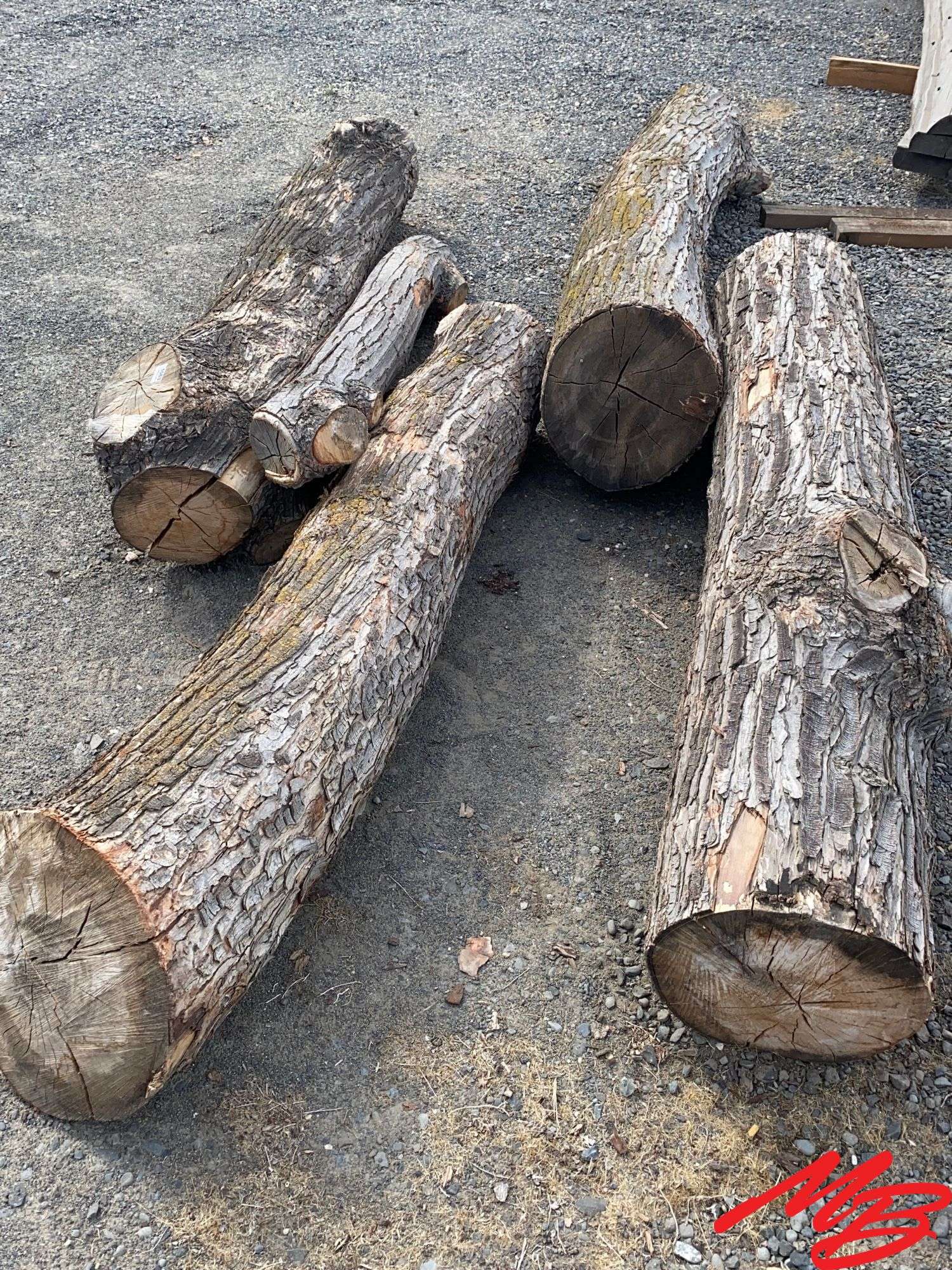 (5) Asstd. Maple Logs