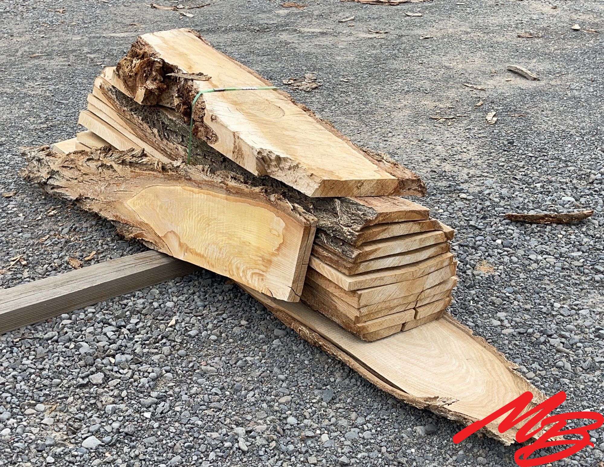 Live Edge Elm