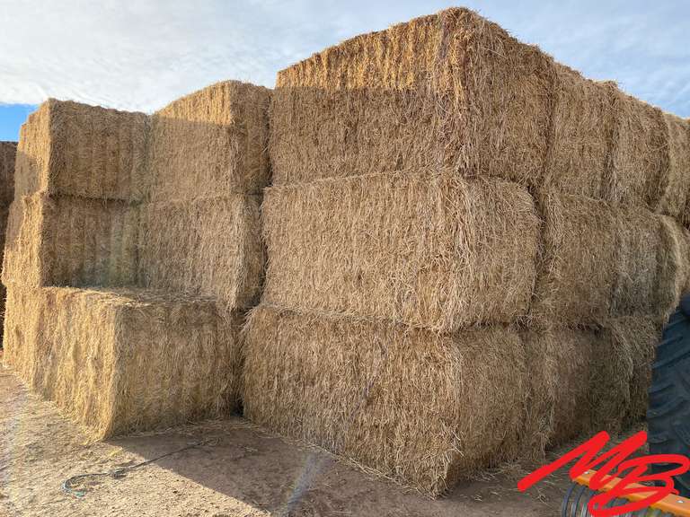 Worland WY Hay