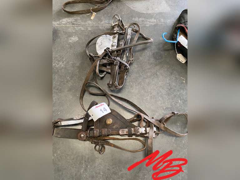Mb Collection Halter US Army Halter, Halter - Musser Bros Inc