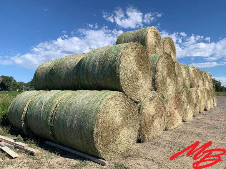 2022 Grass Horse Hay For Sale • Buy It Now