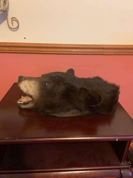 Black bear head mount - Matthew Bullock Auctioneers