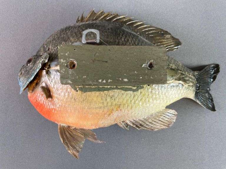 Esca Da Pesca Con Lettera S Iniziale E Onda - Immagini Vettoriali Stock - Foto 12