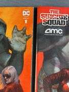 Group of 2 DC Comics The Suicide Squad AMC Special Edition No. 1 Comic ...