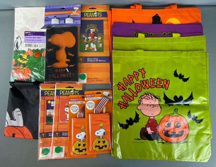 Group of 16 Assorted Peanuts Halloween Items Matthew Bullock Auctioneers